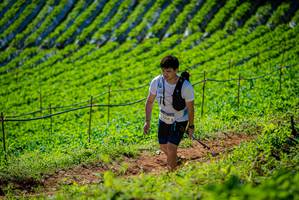 BIB: 
                            <button type="button" onclick="openModal(19162472)" class="btn btn-primary btn-sm float-right btn-popup" data-toggle="modal" data-target=".modal-high-quality">
                        <i class="fas fa-shopping-cart"></i> Add to Cart
                    </button>
                                            <button type="button" onclick="isThisMe(19162472, true)" class="btn btn-success btn-sm float-right btn-popup btn-isme hidden" data-toggle="tooltip" data-placement="bottom" title="นี่คือรูปของคุณใช่ไหม คลิกที่นี่เพื่อเอาเข้าอัลบั้ม">
                        <i class="fas fa-plus"></i> Add to album
                    </button>
                    <button type="button" onclick="isThisMe(19162472, false)" class="btn btn-warning btn-sm float-right btn-popup btn-isnotme hidden">
                        <i class="fas fa-ban"></i> Remove from album
                    </button>